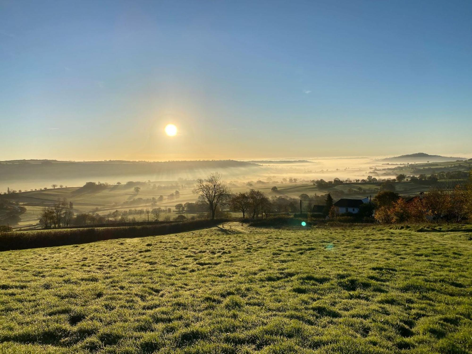 Hillside Lodge Honiton Exteriér fotografie