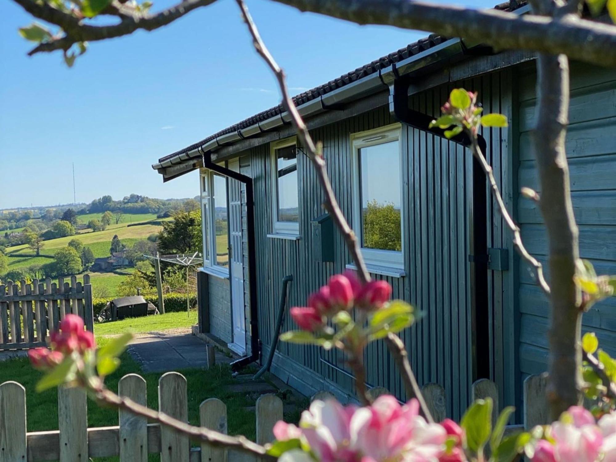 Hillside Lodge Honiton Exteriér fotografie