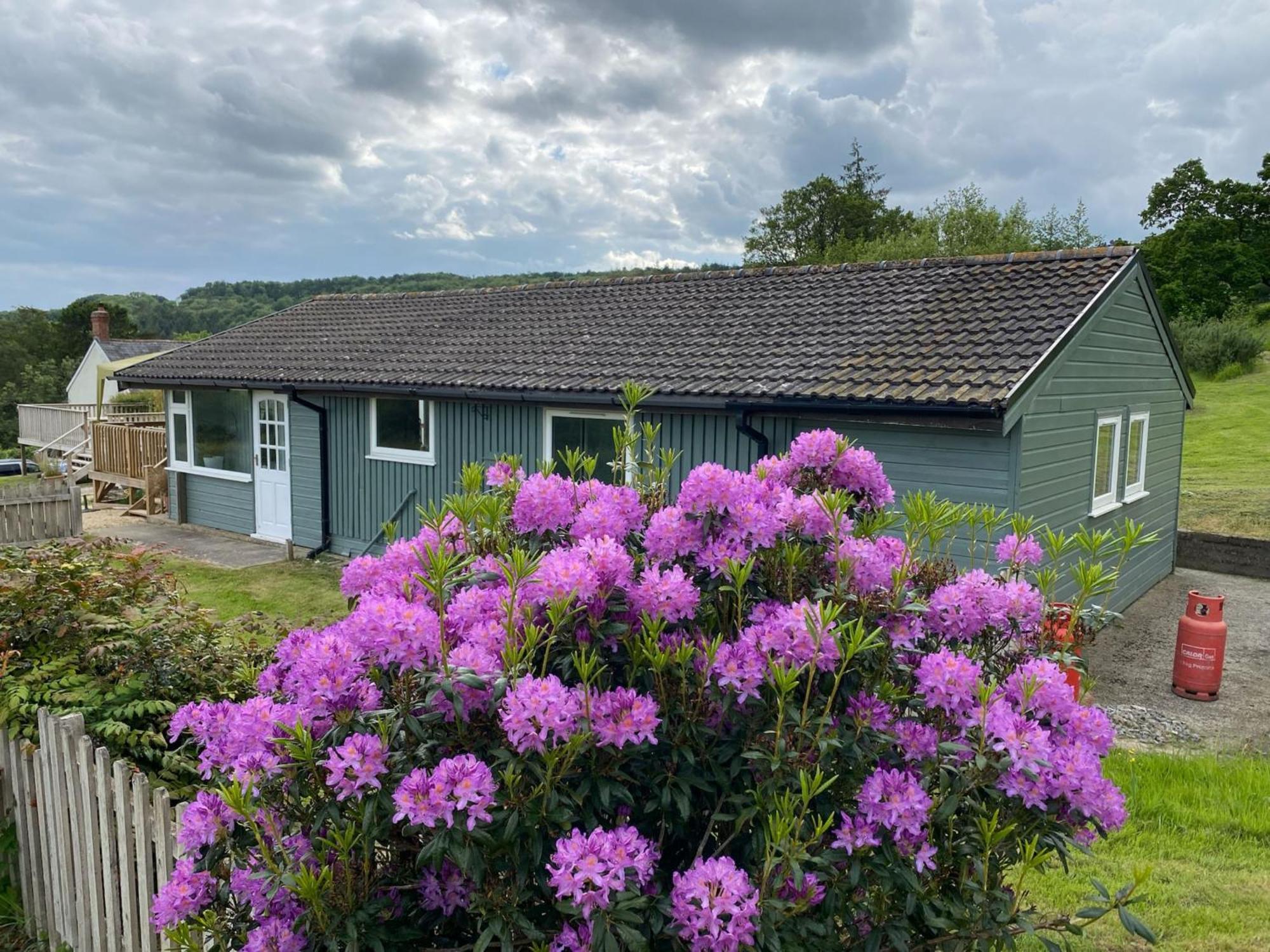 Hillside Lodge Honiton Exteriér fotografie